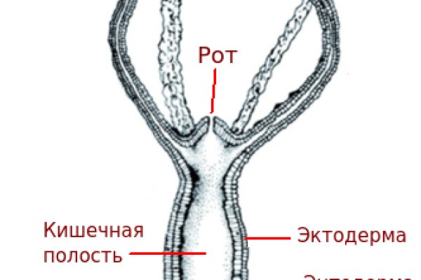 Кракен прямая ссылка